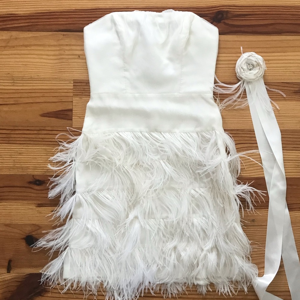 Size 2 Milly Ostrich Feather Dress.